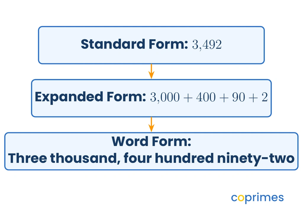 A flowchart showing the number 3,492 translating from standard form to expanded form (3,000 + 400 + 90 + 2) and finally to word form (Three thousand, four hundred ninety-two).