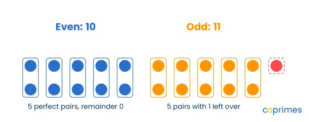 Two arrays comparing even and odd. The first shows 10 dots in 5 perfect pairs, labeled even. The second shows 11 dots in 5 pairs with 1 leftover, labeled odd.