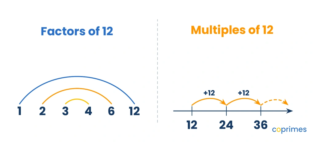 A side-by-side comparison showing the factors of 12 linked in a rainbow pattern on the left, and the multiples of 12 progressing on a number line on the right.