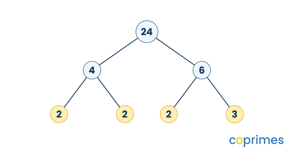 Factor tree diagram breaking down 24 into 4 times 6 and then into prime factors 2, 2, 2, and 3.