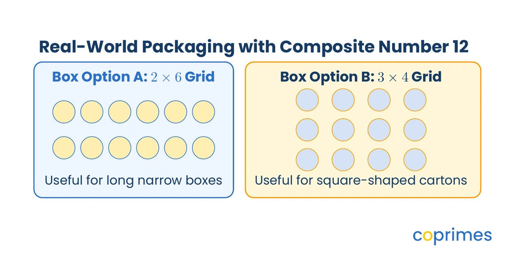 Packaging model showing how 12 items can be arranged in two different rectangular tray dimensions.