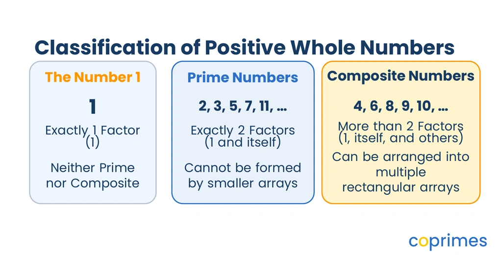 A classification chart partitioning whole numbers into prime numbers, composite numbers, and the special unit number 1.
