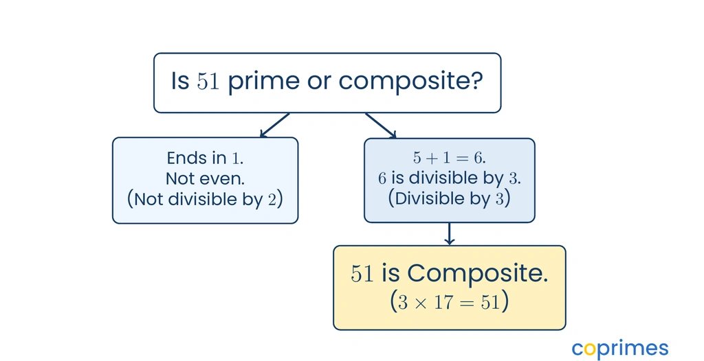 A flowchart checking if 51 is prime. Is it divisible by 2? No. Is it divisible by 3? Yes, 5 plus 1 equals 6. Conclusion: 51 is composite.