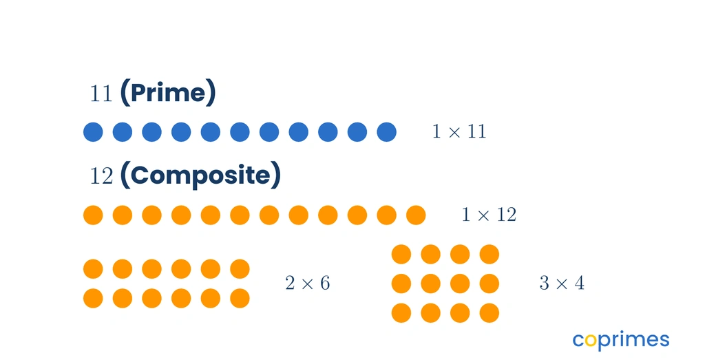 Dot arrays for 11 and 12. 11 is shown as one row of 11 dots. 12 is shown as one row of 12, two rows of 6, and three rows of 4.