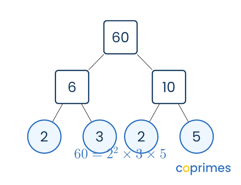 A factor tree showing 60 split into 6 and 10. The 6 splits into primes 2 and 3. The 10 splits into primes 2 and 5.