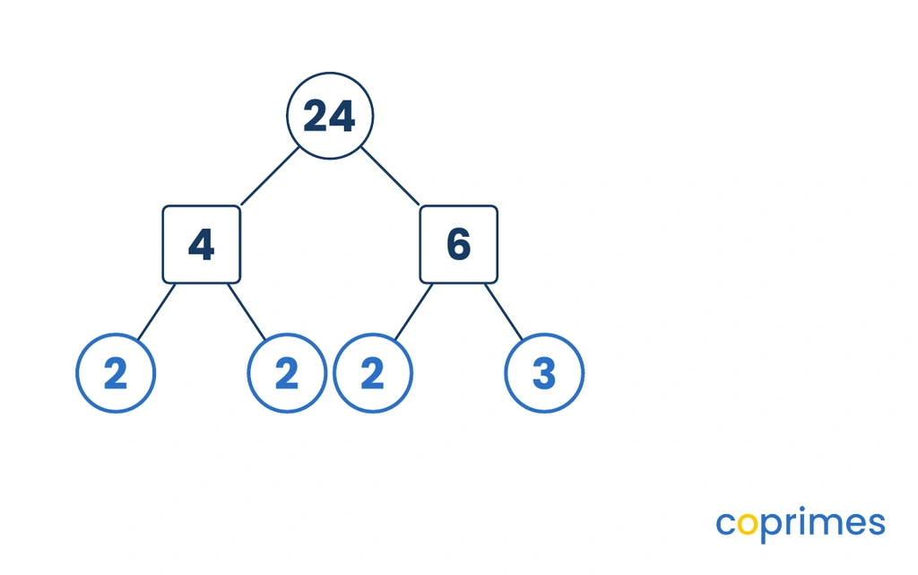 A factor tree for the number 24. 24 splits into 4 and 6. The 4 splits into primes 2 and 2. The 6 splits into primes 2 and 3.