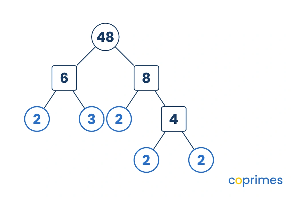 A factor tree for 48. 48 branches into 6 and 8. 6 branches into circled primes 2 and 3. 8 branches into a circled prime 2 and composite 4. 4 branches into circled primes 2 and 2.
