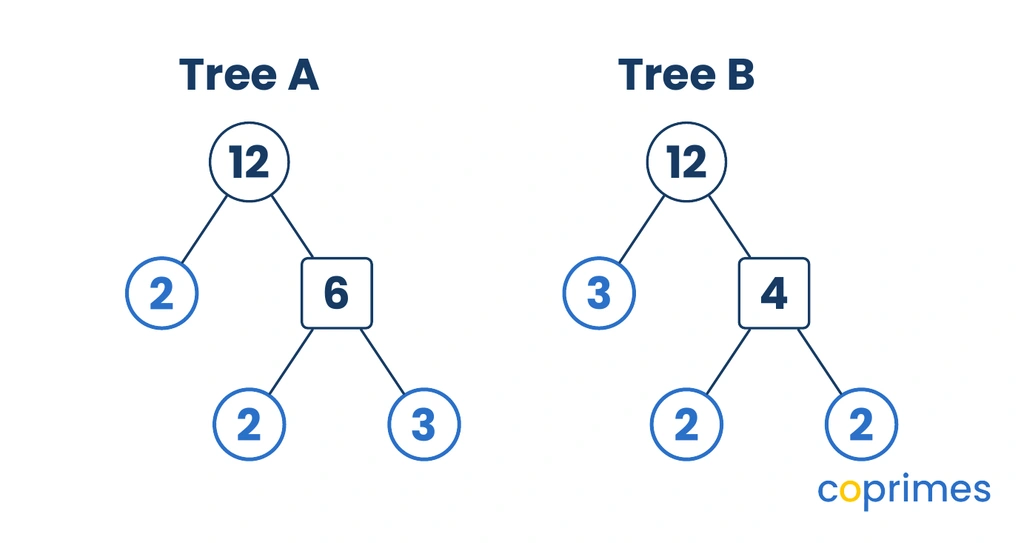 Two factor trees for 12. Tree A branches 12 into 2 and 6. The 6 branches into 2 and 3. Tree B branches 12 into 3 and 4. The 4 branches into 2 and 2.
