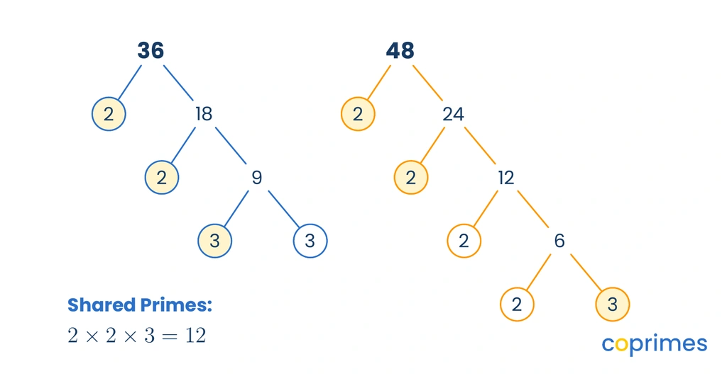 Two prime factor trees for 36 and 48. The prime factors of 36 are 2, 2, 3, 3. The prime factors of 48 are 2, 2, 2, 2, 3. The shared prime factors 2, 2, and 3 are circled.