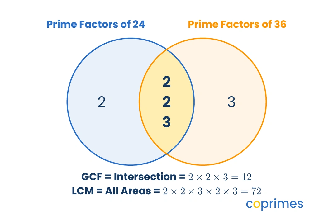 A Venn diagram showing the prime factors of 24 and 36. The intersection contains 2, 2, and 3. The left circle contains an extra 2. The right circle contains an extra 3.