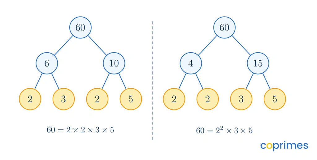 Two factor trees for 60. The left tree splits into 6 and 10, ending with primes 2, 3, 2, and 5. The right tree splits into 4 and 15, ending with 2, 2, 3, and 5.