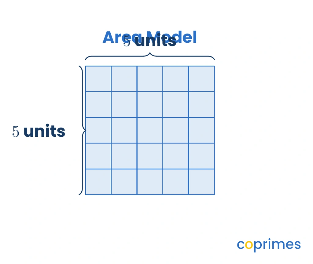 A square grid model measuring 5 units wide and 5 units high, filled with small square blocks.