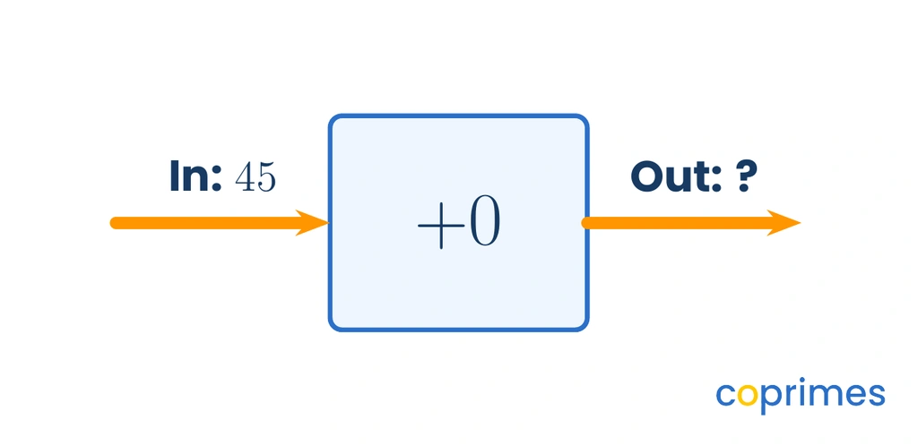 A function machine where the input is 45, the operation inside the machine is plus 0, and the output is unknown.