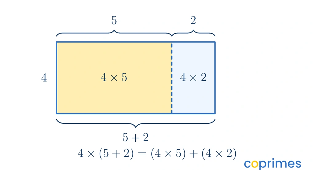 A rectangle with height 4 is split vertically into a yellow rectangle of width 5 and an ice-blue rectangle of width 2. The total area is 4 times the sum of 5 and 2.