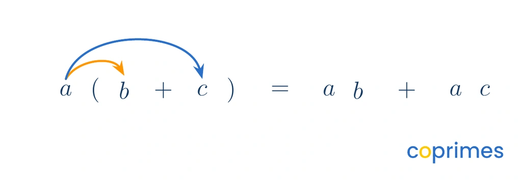 An equation showing the variable a distributed with arrows to variables b and c added inside parentheses.