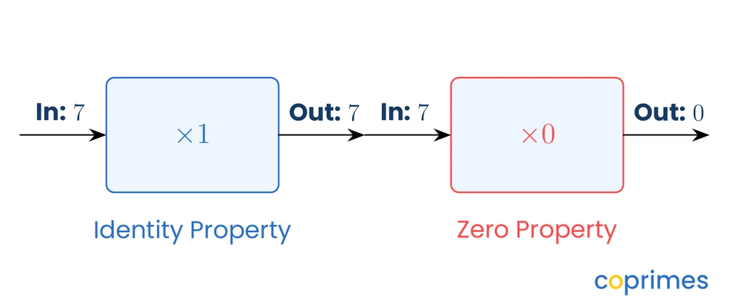A diagram of two function machines. The first multiplies seven by one to output seven. The second multiplies seven by zero to output zero.