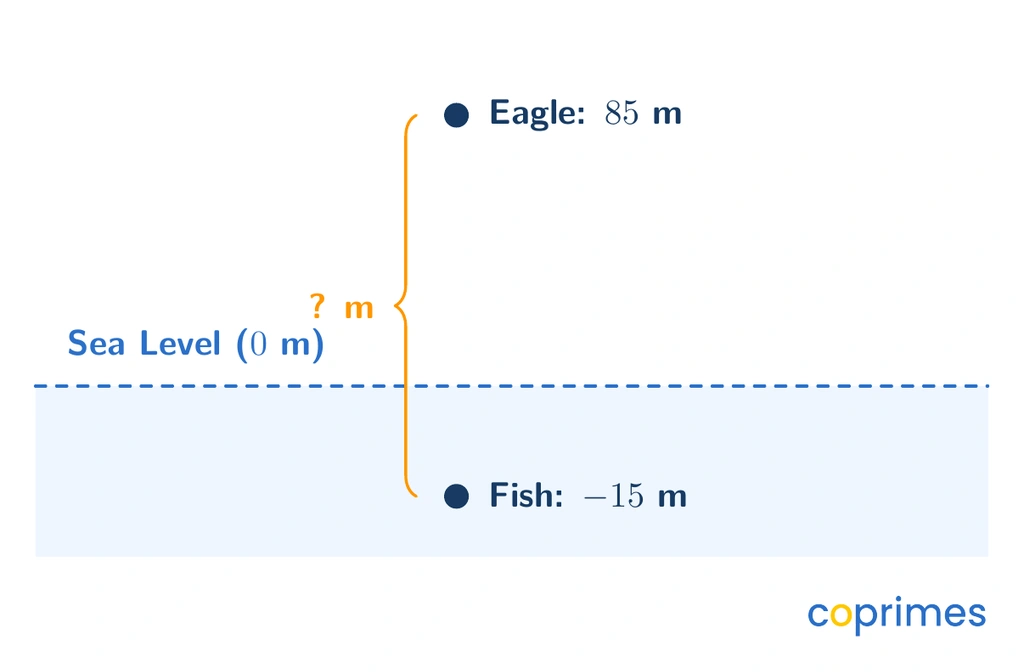 A vertical cross section showing an eagle flying at 85 meters above sea level and a fish swimming at negative 15 meters below sea level.