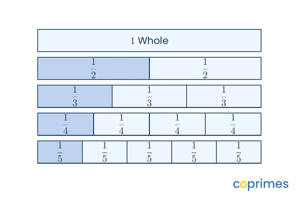 Fraction strips showing one whole, two halves, three thirds, four fourths, and five fifths. The first part of each strip is highlighted in blue to show the unit fraction.