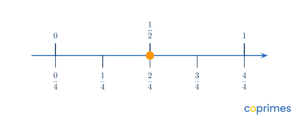 A number line comparing halves and fourths. The top marks halves and the bottom marks fourths. The point for 1/2 aligns exactly with the point for 2/4.