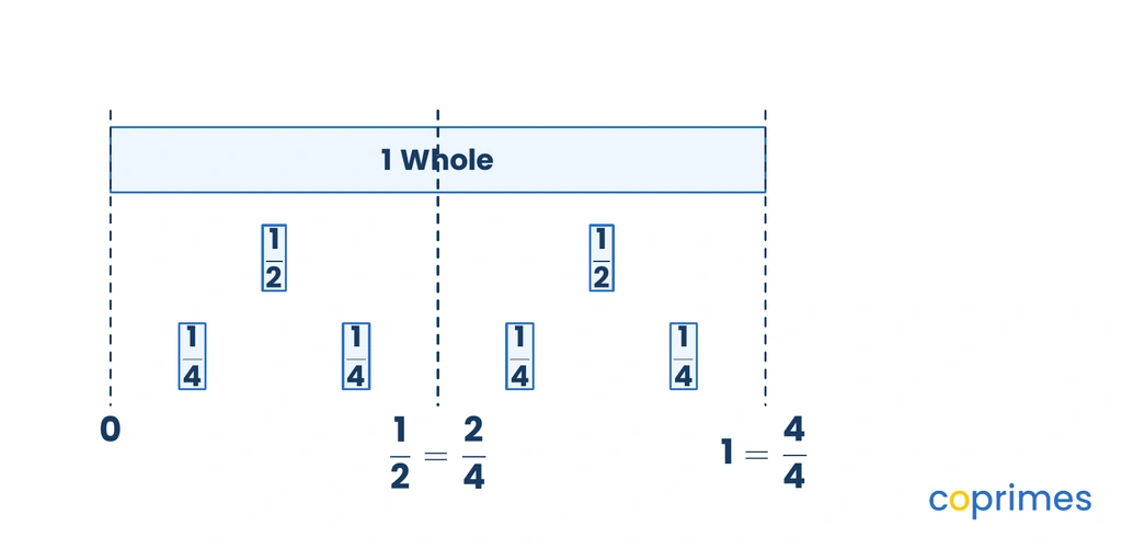 Fraction strips showing one whole, two halves, and four fourths aligned vertically to demonstrate that one half is equivalent to two fourths.