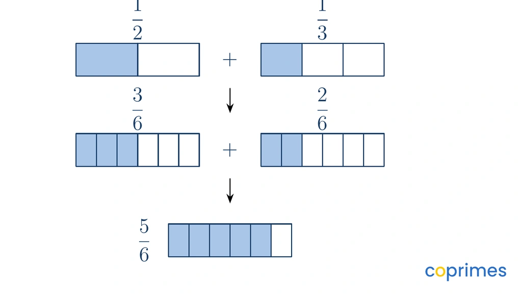 A visual shows one half and one third refined into common parts. One half becomes three sixths, one third becomes two sixths, creating a sum of five sixths.