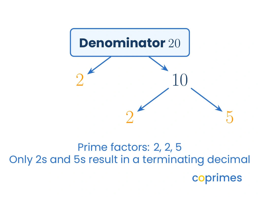A factor tree for the denominator 20 showing the prime factors 2, 2, and 5. Text explains that having only 2s and 5s results in a terminating decimal.