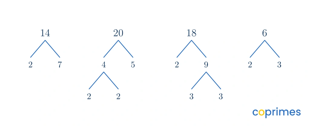Four factor trees for the numbers 14, 20, 18, and 6, showing their prime factorizations.
