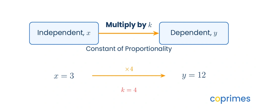 A flowchart showing the independent variable x connected to the dependent variable y by an arrow labeled multiply by k, the constant of proportionality.
